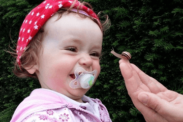 民国那些惊艳的名字