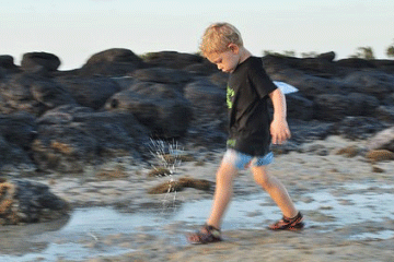 虎宝宝带木字寓意好的名字